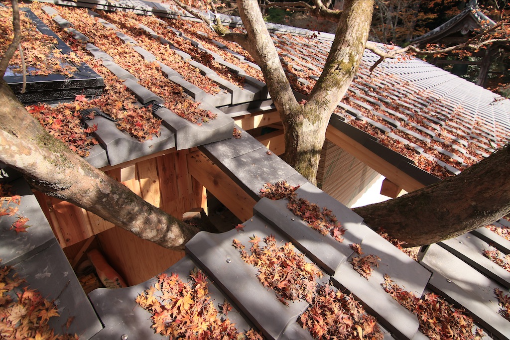 f:id:daieibrand:20211123152158j:image