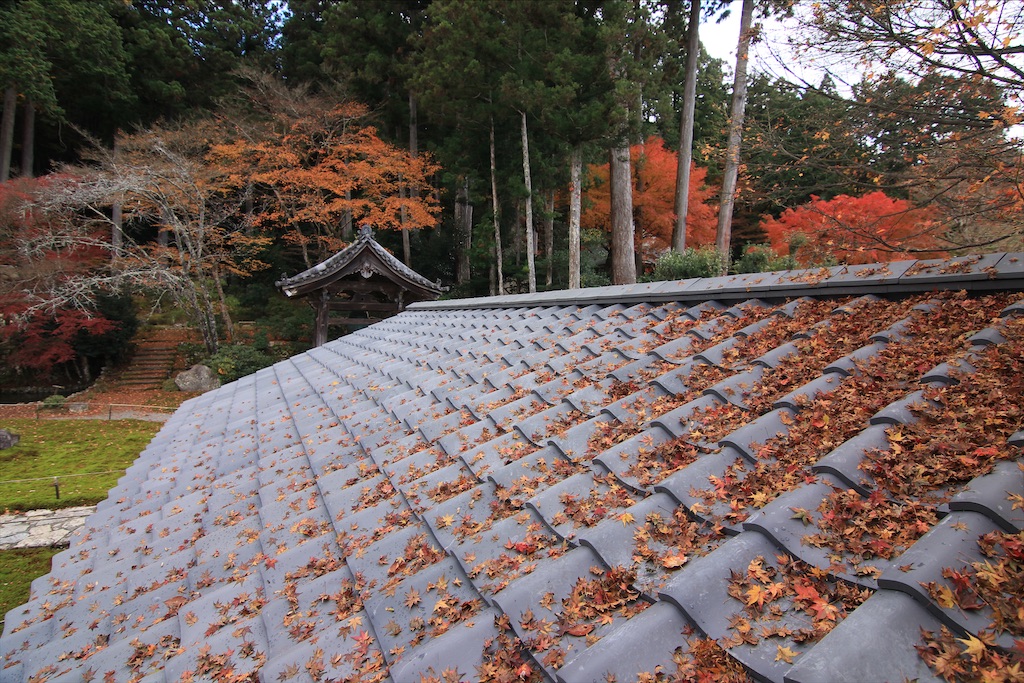 f:id:daieibrand:20211123152241j:image