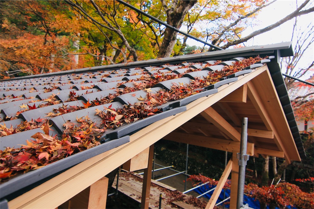 f:id:daieibrand:20211123152243j:image