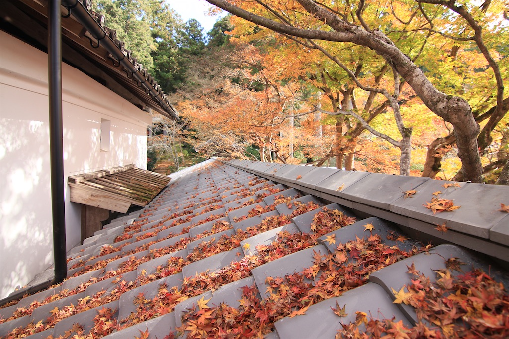 f:id:daieibrand:20211123152431j:image