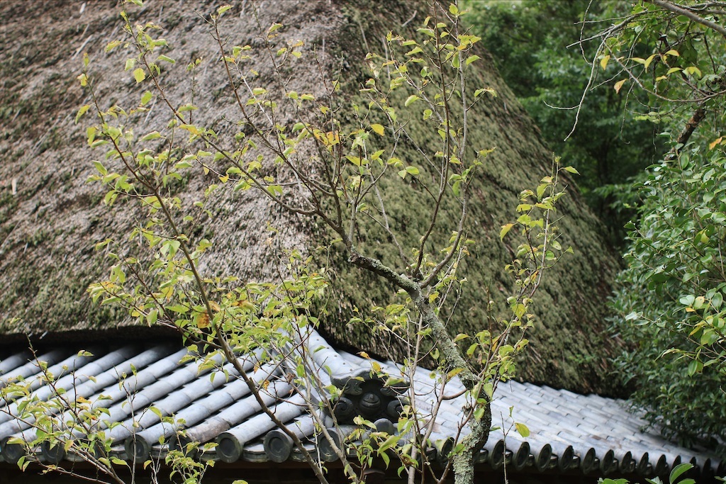 f:id:daieibrand:20211202124359j:image