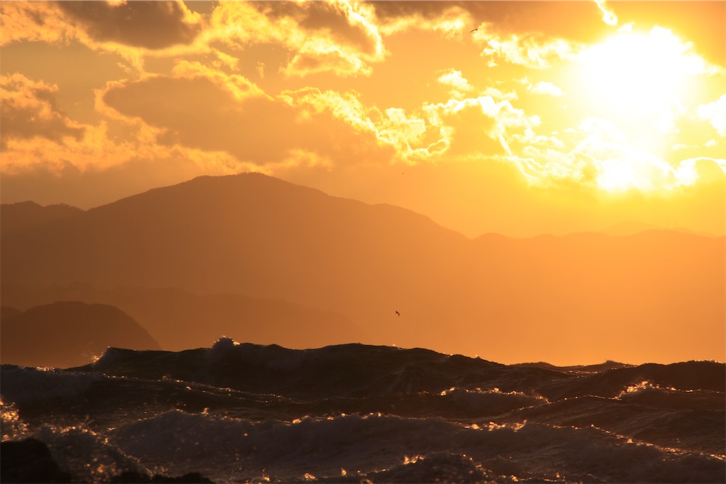 f:id:daieibrand:20220113202931j:image