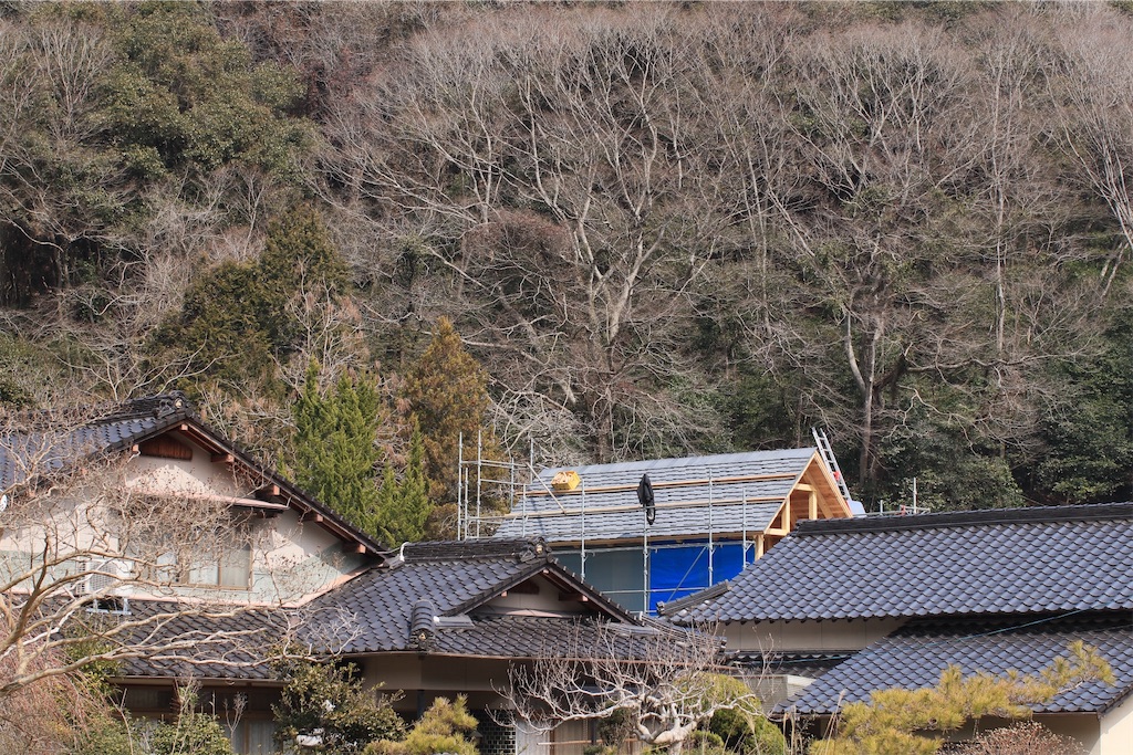 f:id:daieibrand:20220311144927j:image