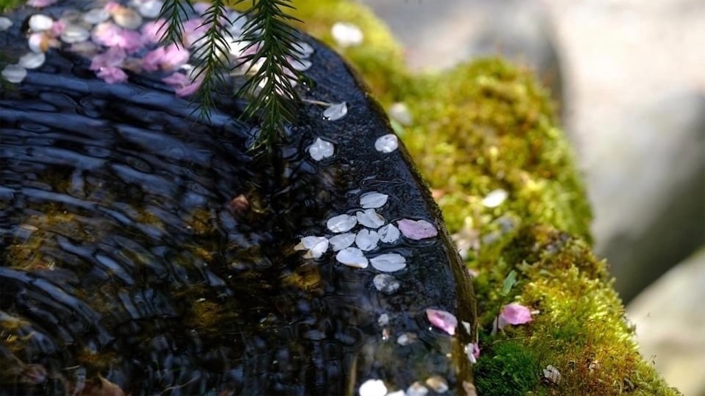 f:id:daieibrand:20220415122549j:image