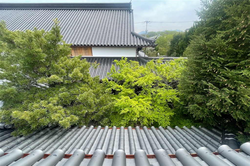 f:id:daieibrand:20220419130633j:image