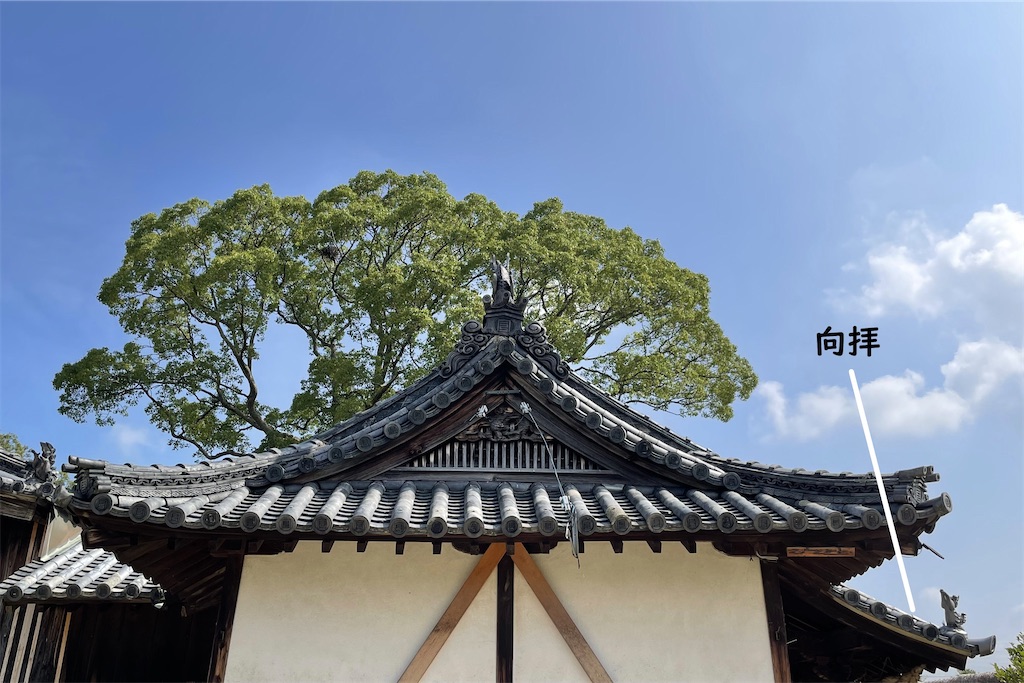 f:id:daieibrand:20220509170446j:image