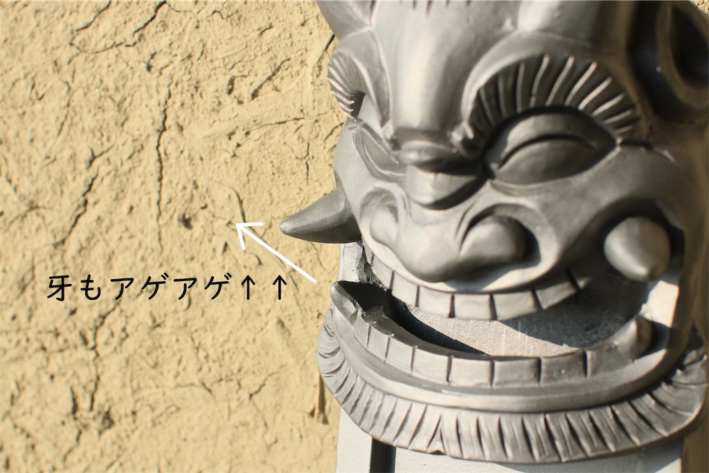 f:id:daieibrand:20220602185113j:image