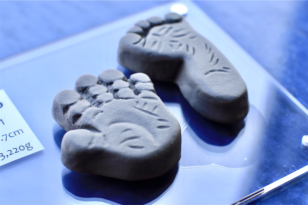 f:id:daieibrand:20220726124135j:image