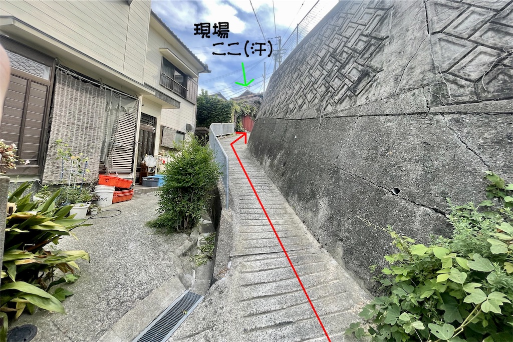 f:id:daieibrand:20220831144503j:image
