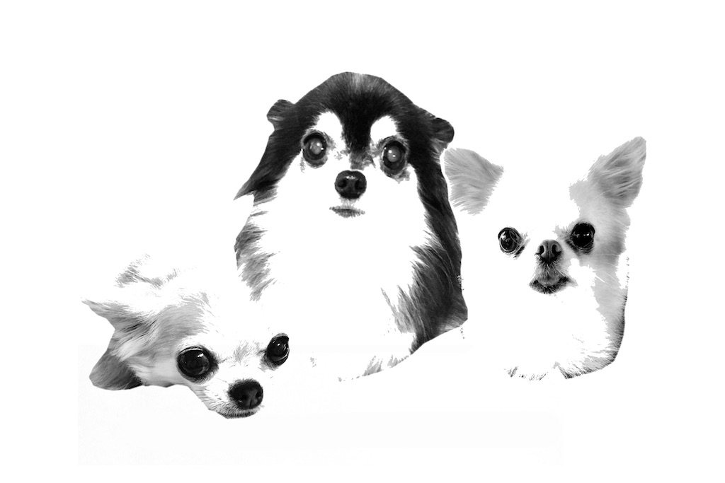 f:id:daieibrand:20221103121739j:image
