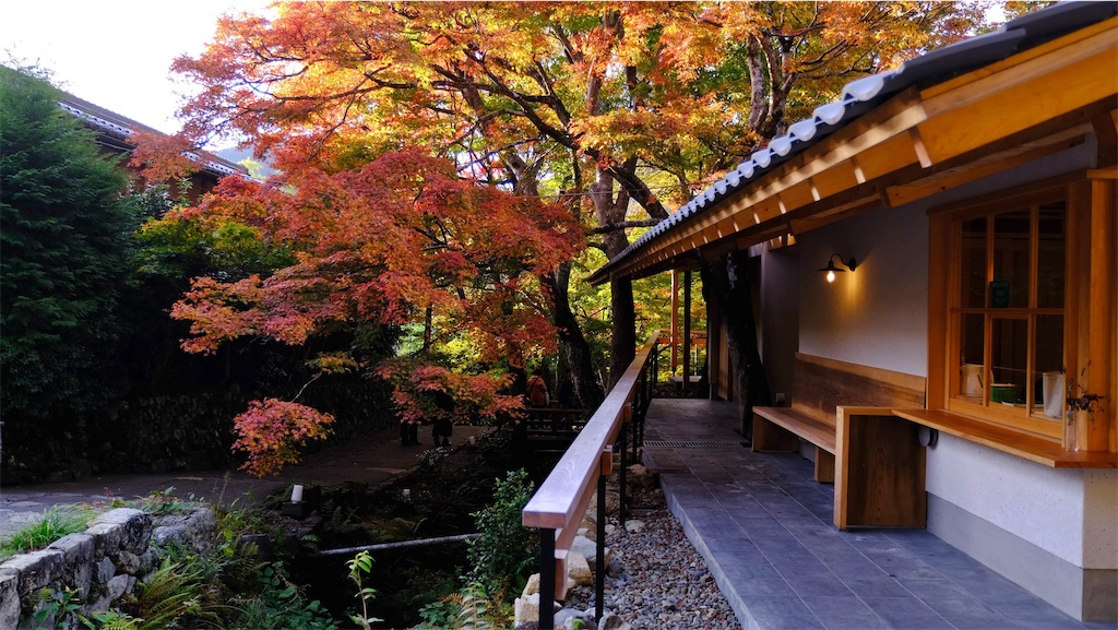 f:id:daieibrand:20221115120345j:image