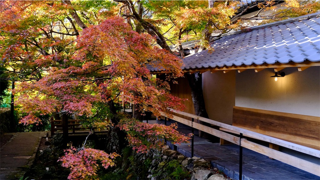 f:id:daieibrand:20221115120351j:image
