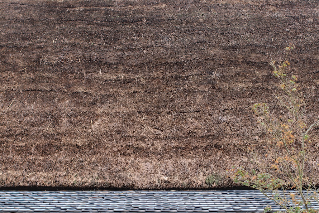 f:id:daieibrand:20221123151915j:image