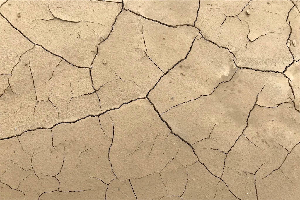 f:id:daieibrand:20230111080404j:image f:id:daieibrand:20230111080404j:image