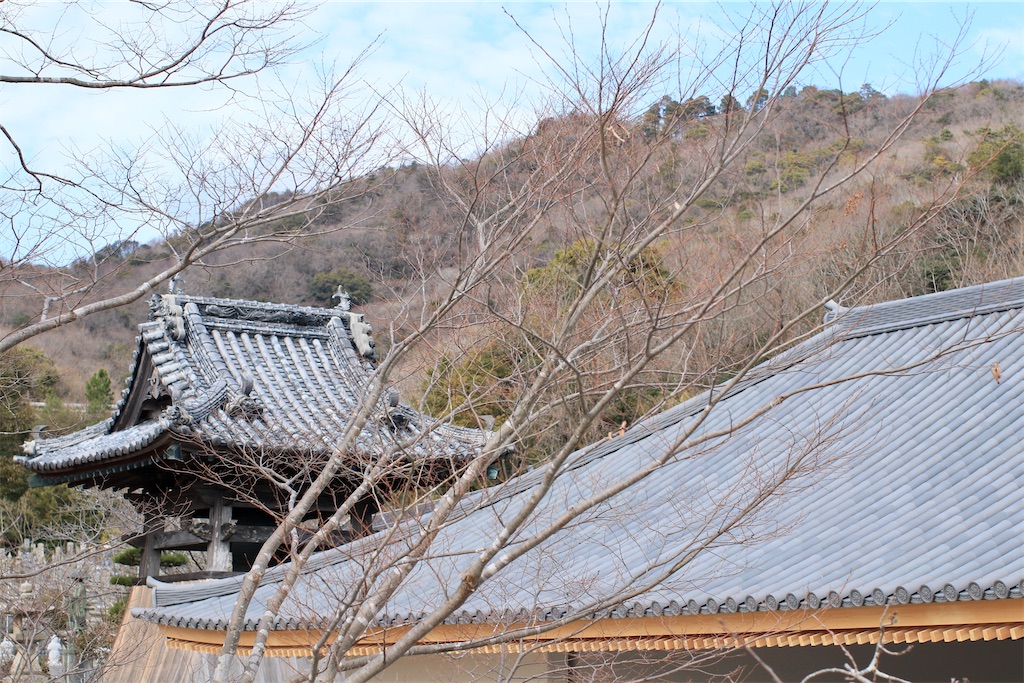 f:id:daieibrand:20230124065206j:image