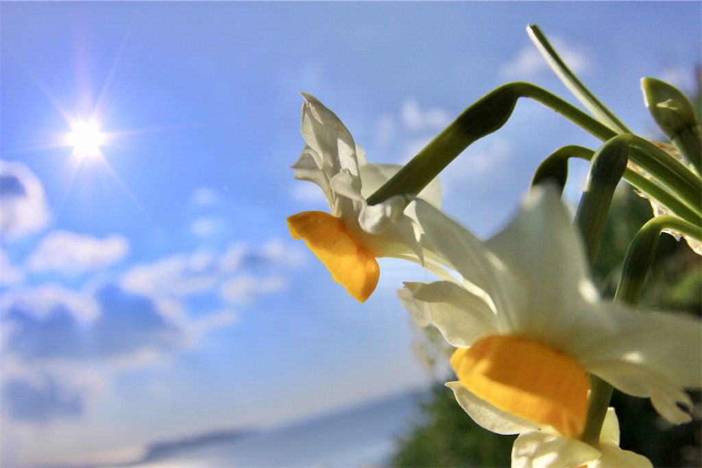 f:id:daieibrand:20230319180708j:image