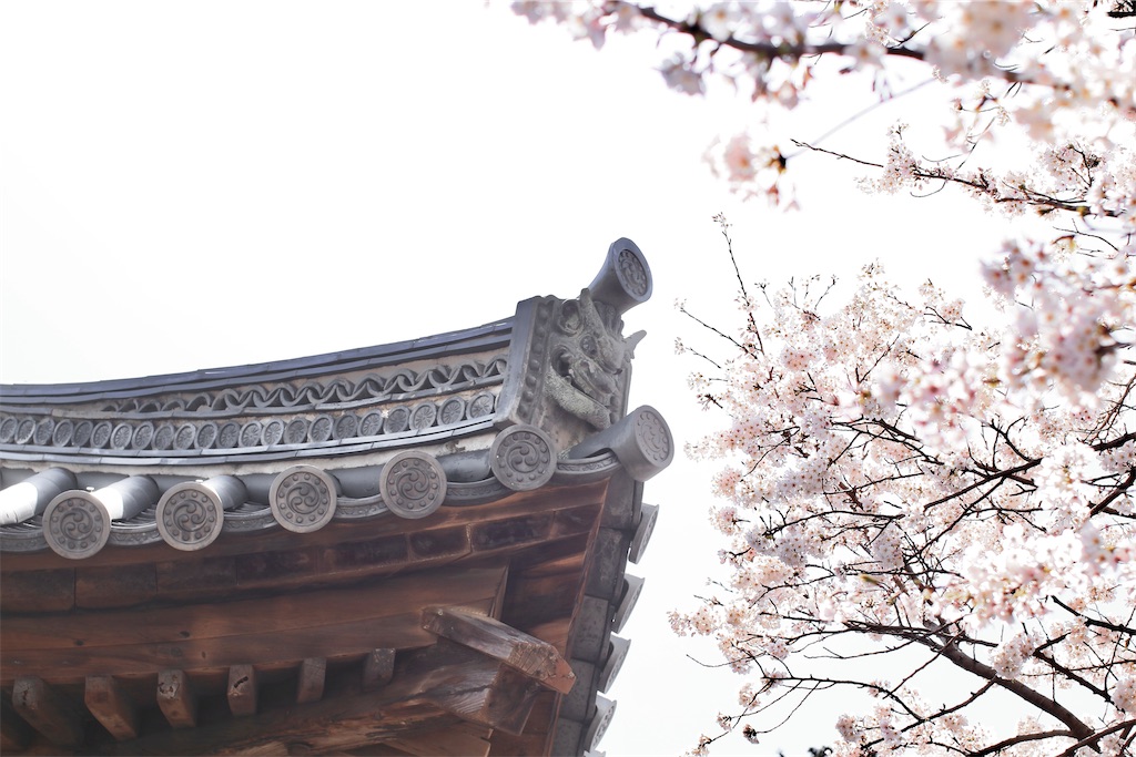 f:id:daieibrand:20230330080137j:image