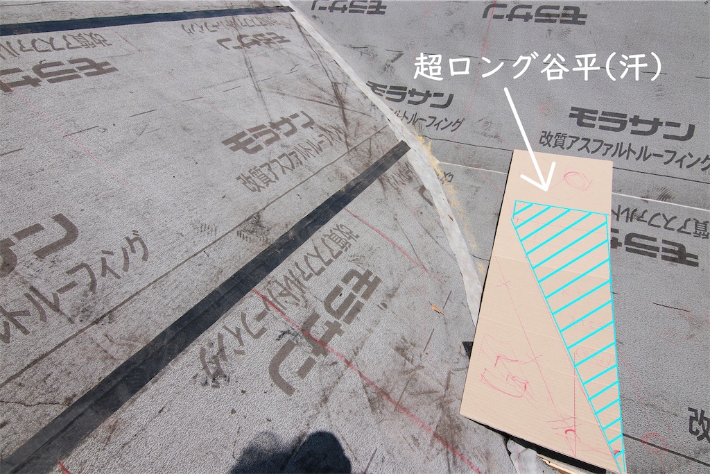 f:id:daieibrand:20230603070757j:image
