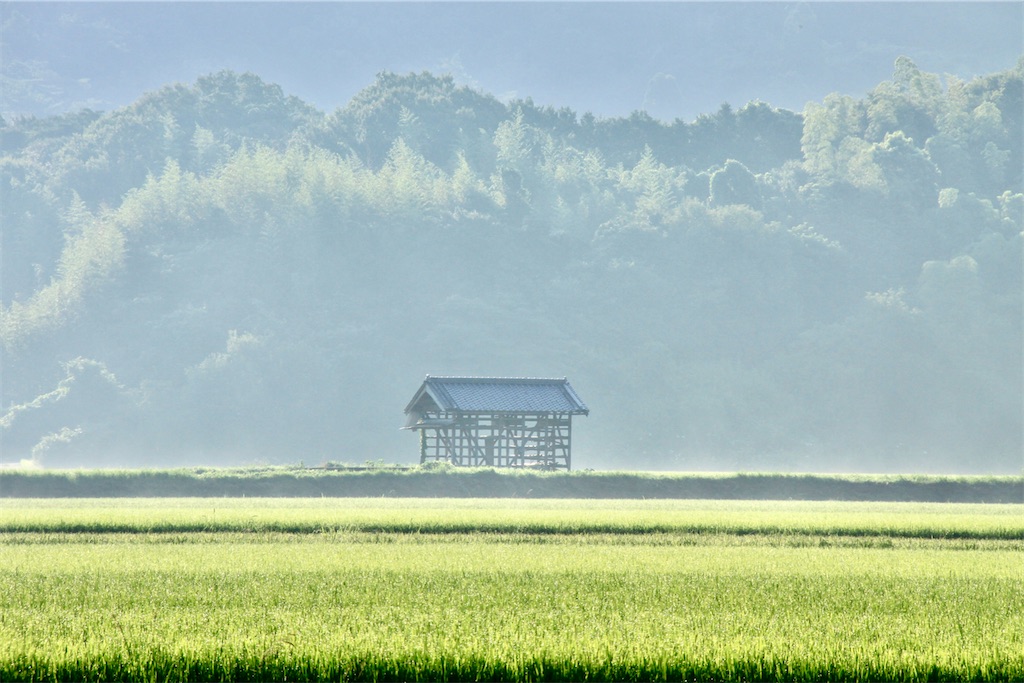 f:id:daieibrand:20230708070218j:image