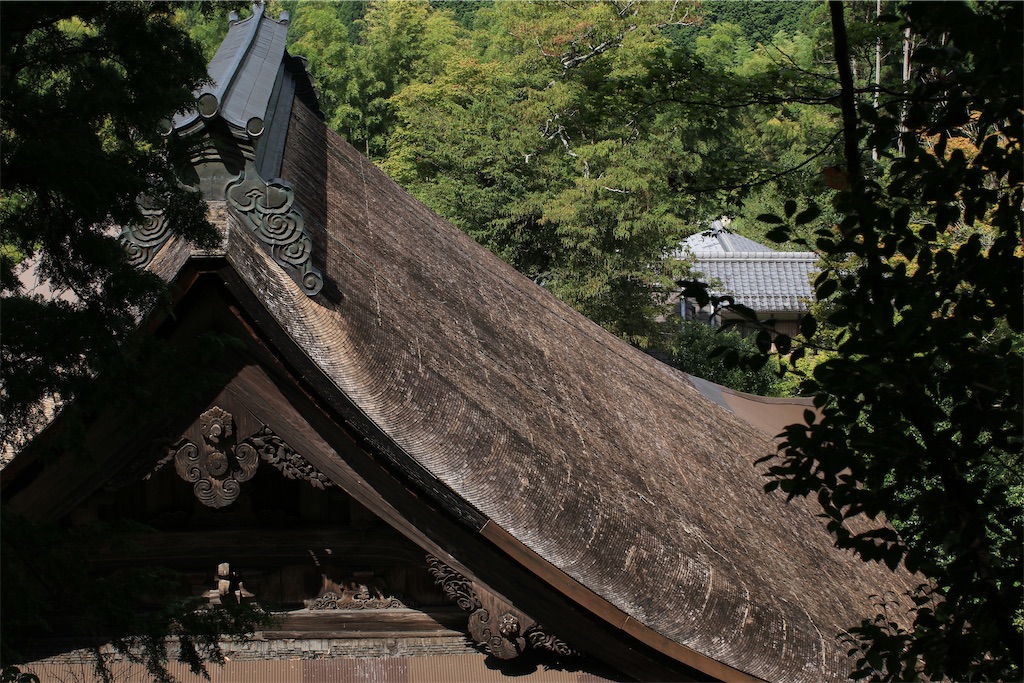 f:id:daieibrand:20230909210141j:image