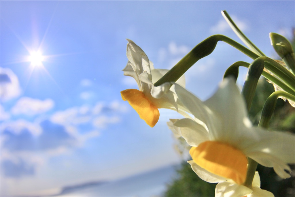 f:id:daieibrand:20230920191050j:image
