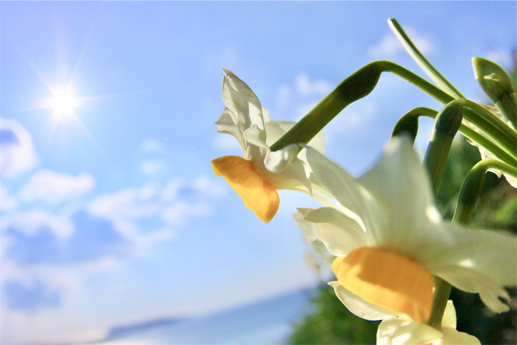 f:id:daieibrand:20231221163937j:image