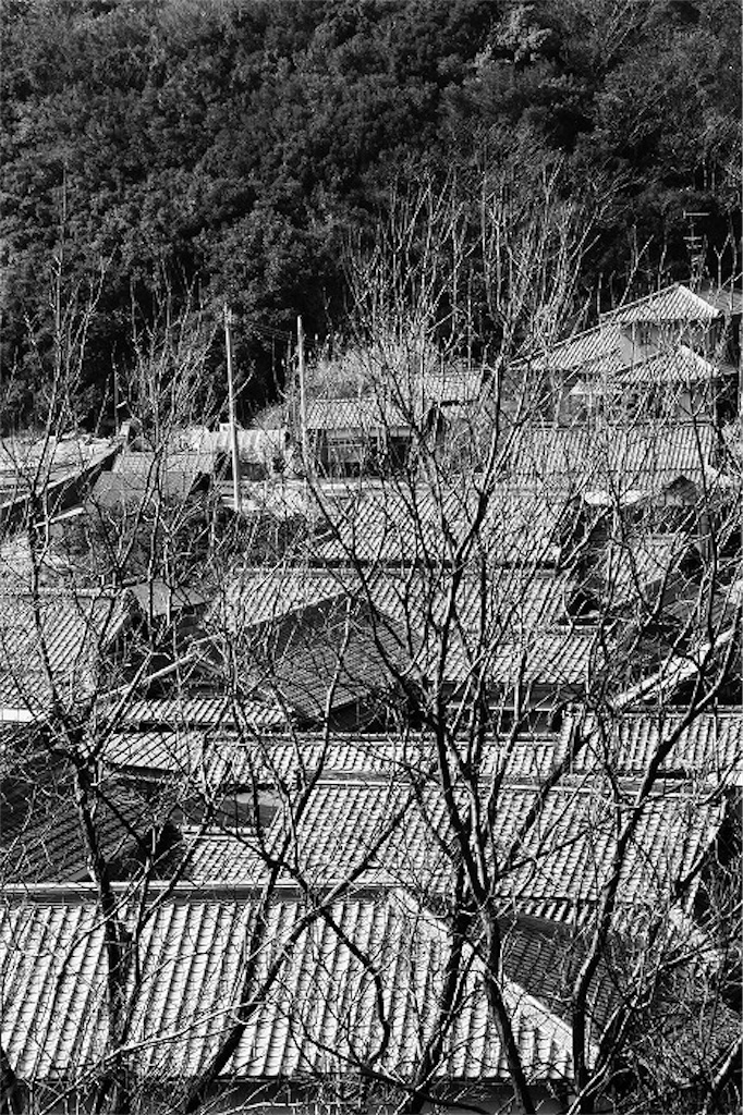 f:id:daieibrand:20240310190623j:image f:id:daieibrand:20240310190623j:image