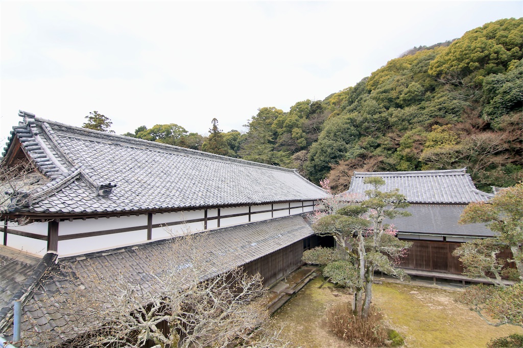 f:id:daieibrand:20240318201214j:image