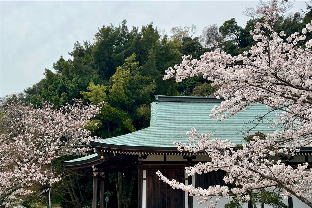 f:id:daieibrand:20240405181002j:image