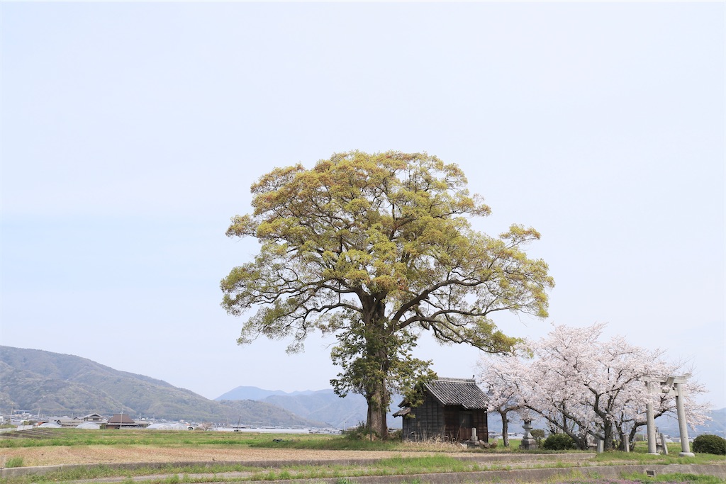 f:id:daieibrand:20240406182310j:image