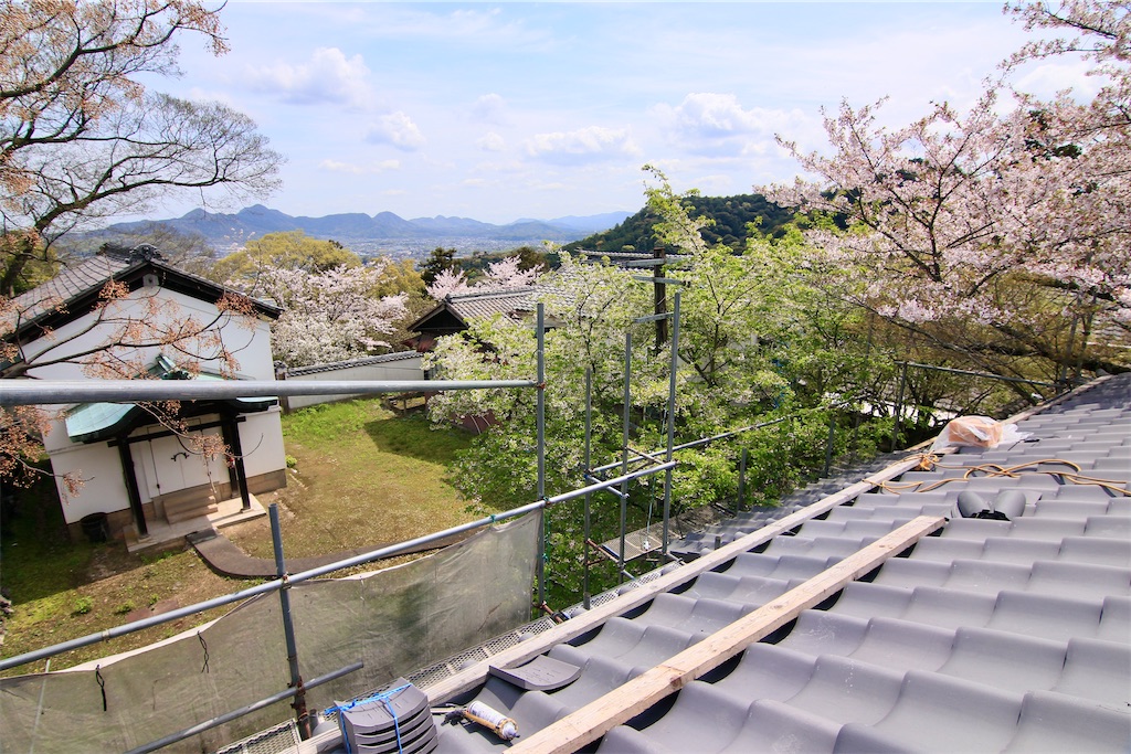 f:id:daieibrand:20240411185314j:image