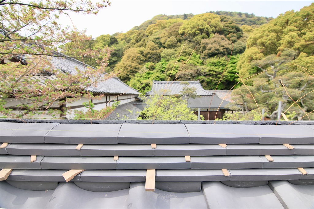 f:id:daieibrand:20240416115416j:image