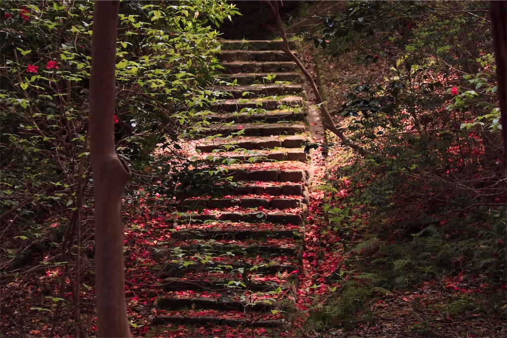 f:id:daieibrand:20240416115423j:image