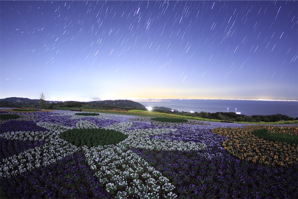 f:id:daieibrand:20241125203943j:image