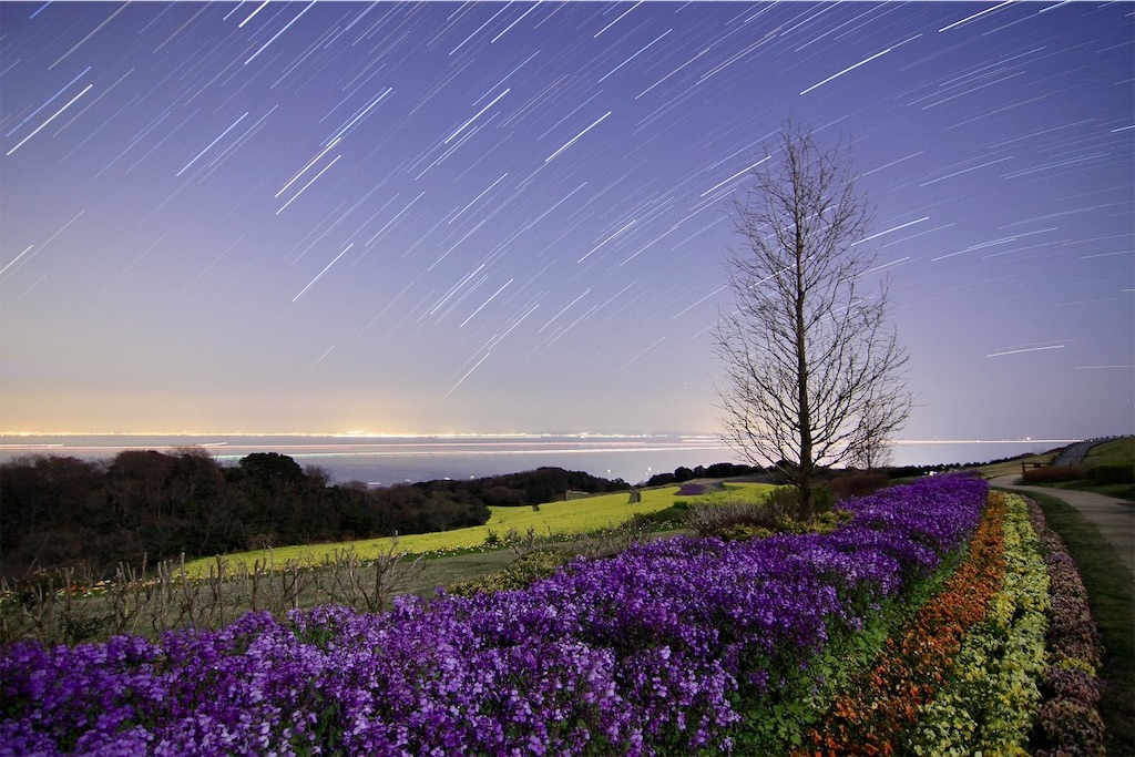 f:id:daieibrand:20241125203950j:image