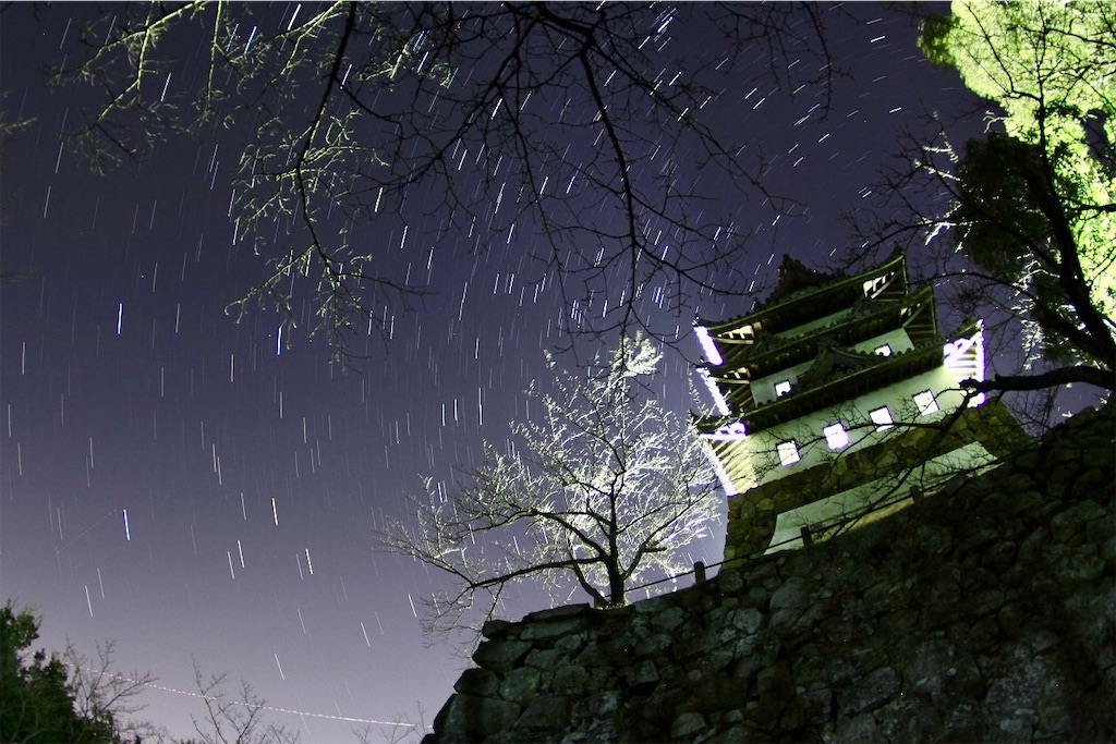 f:id:daieibrand:20241125204416j:image