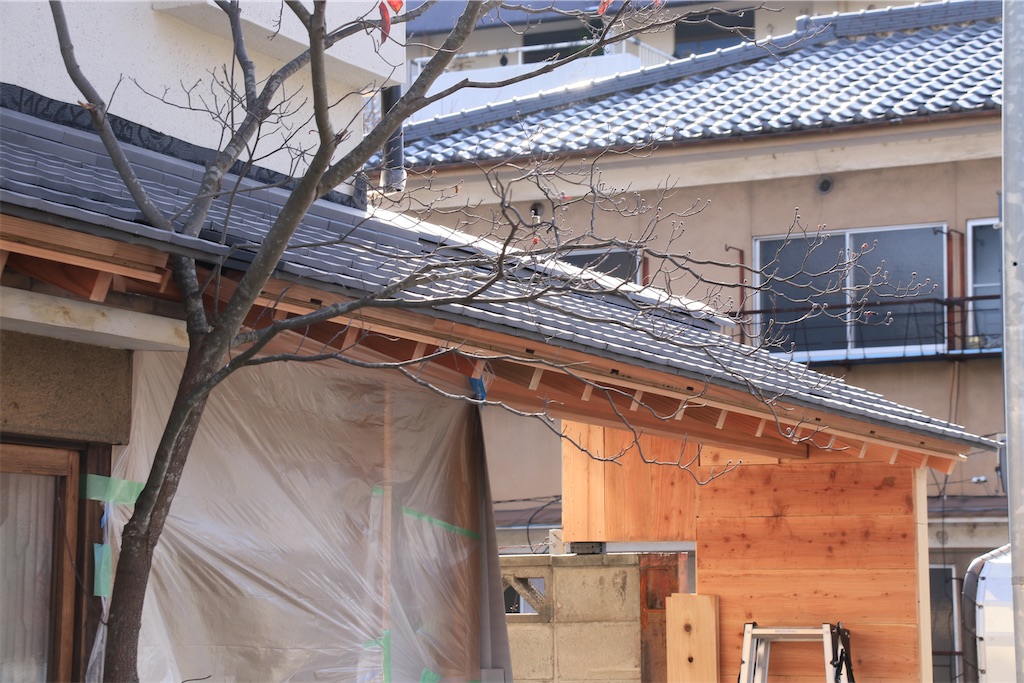 f:id:daieibrand:20241213184312j:image f:id:daieibrand:20241213184312j:image
