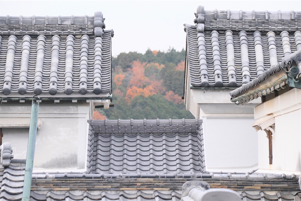 f:id:daieibrand:20241220183159j:image