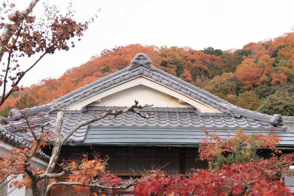 f:id:daieibrand:20241220183321j:image
