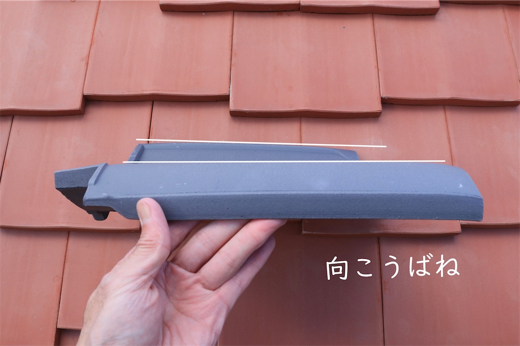 f:id:daieibrand:20241226175058j:image