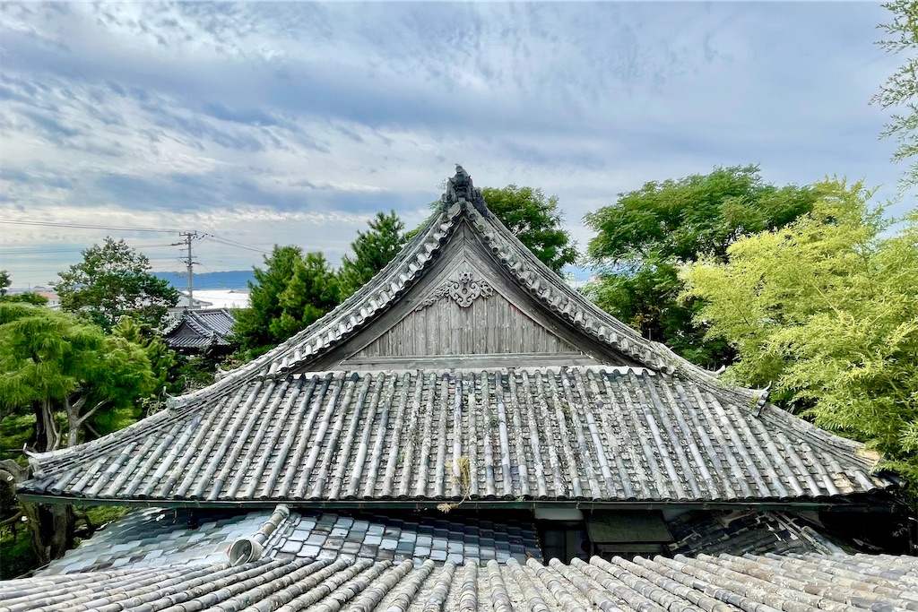 f:id:daieibrand:20250324123210j:image