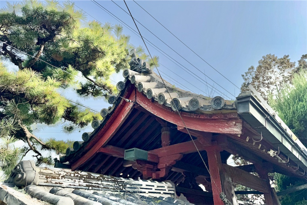 f:id:daieibrand:20250325183241j:image