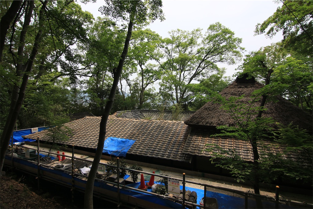f:id:daieibrand:20250516193638j:image f:id:daieibrand:20250516193638j:image