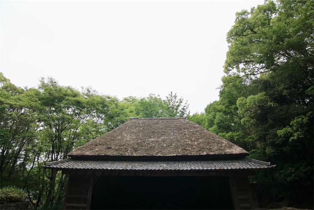 f:id:daieibrand:20250516193642j:image f:id:daieibrand:20250516193642j:image