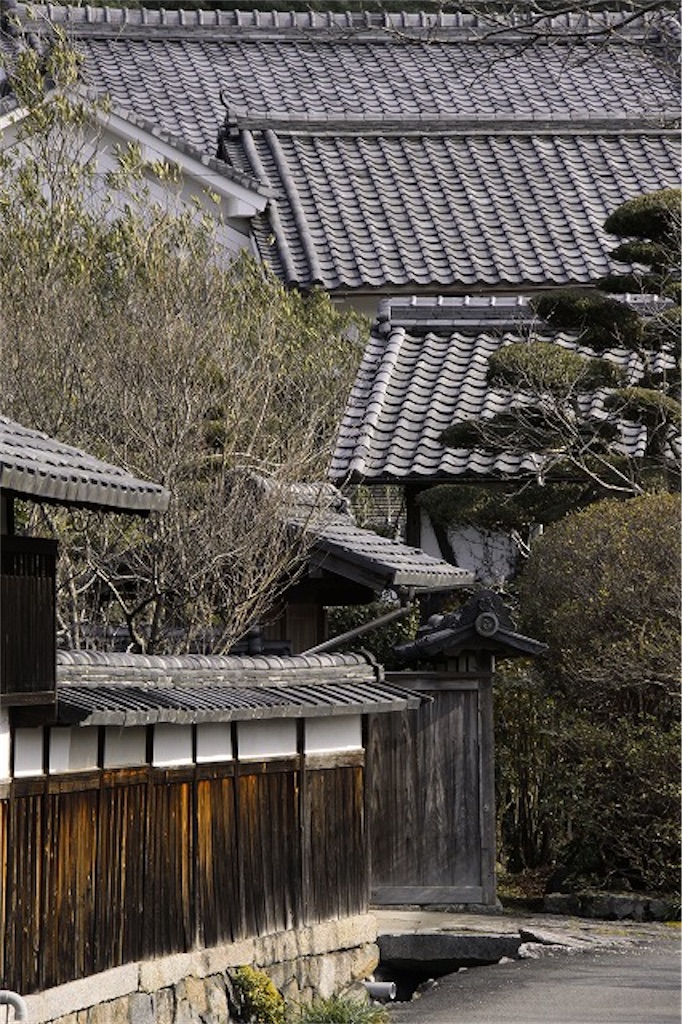 f:id:daieibrand:20250823192358j:image