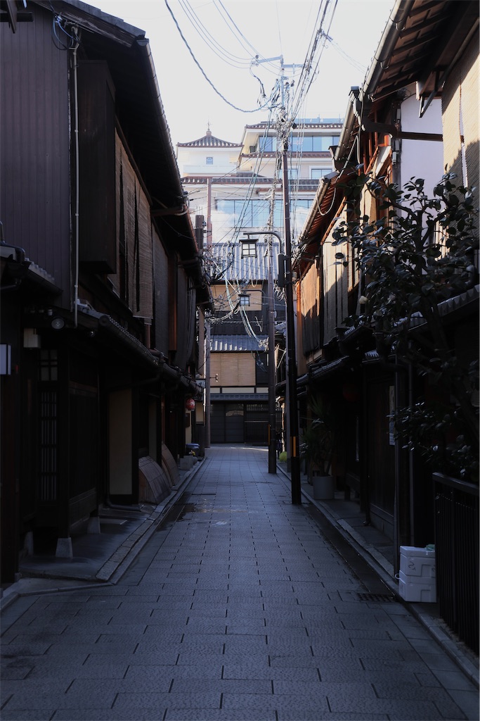 f:id:daieibrand:20260130181926j:image f:id:daieibrand:20260130181926j:image