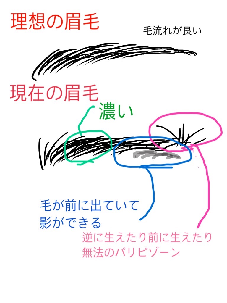 雑記 理想の眉毛と探しものについて フィギュア ミュージカルモード