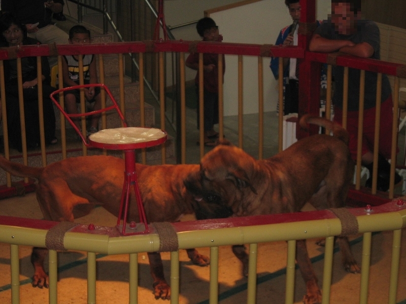 f:id:daifuku_chan:20190531165257j:plain