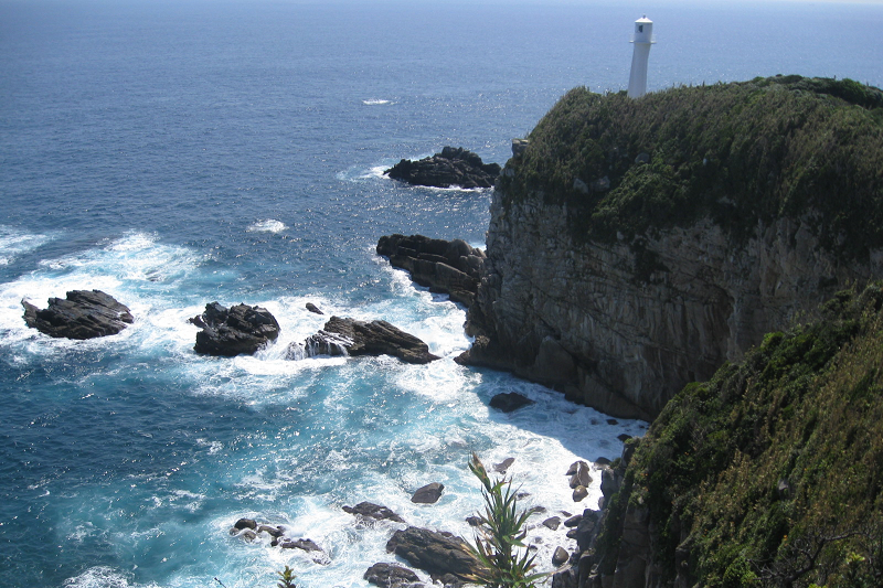 f:id:daifuku_chan:20200202170647p:plain