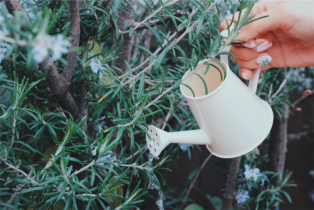 f:id:daifukuan:20190619160227j:image